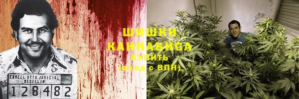 MESCALINE Аркадак