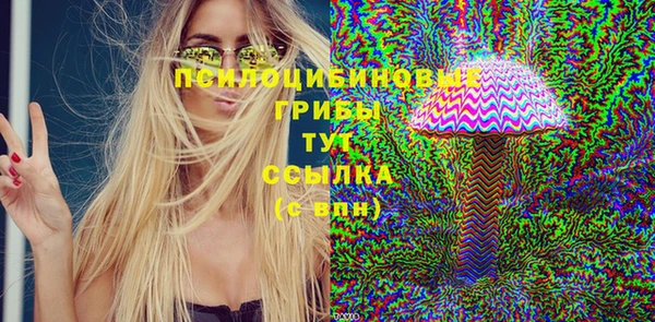 СК Арсеньев
