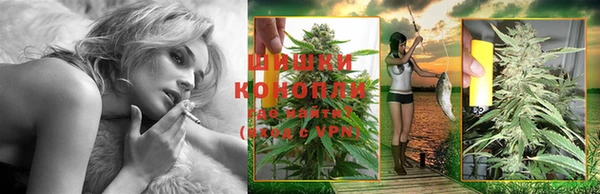 MESCALINE Аркадак