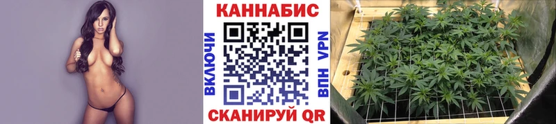 Бошки марихуана SATIVA & INDICA  Купить  Аша 
